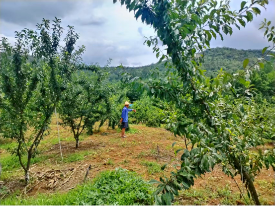 1752131701173.jpg 1752131701173.jpg